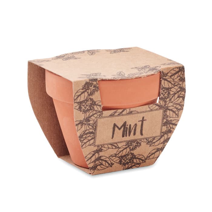 MINT POT Nasiona mięty w doniczce