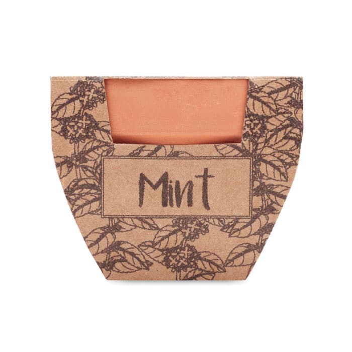 MINT POT Nasiona mięty w doniczce