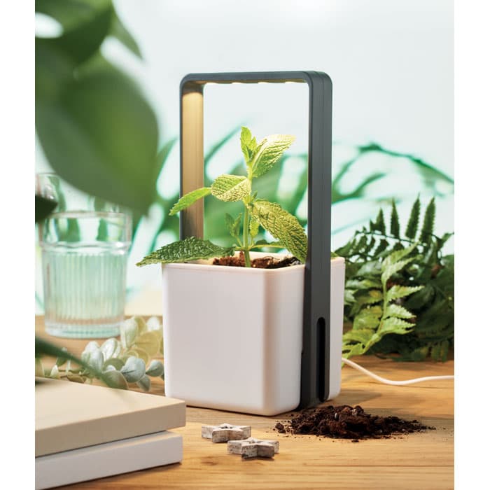 LUSHLET Ogródek z oświetleniem LED