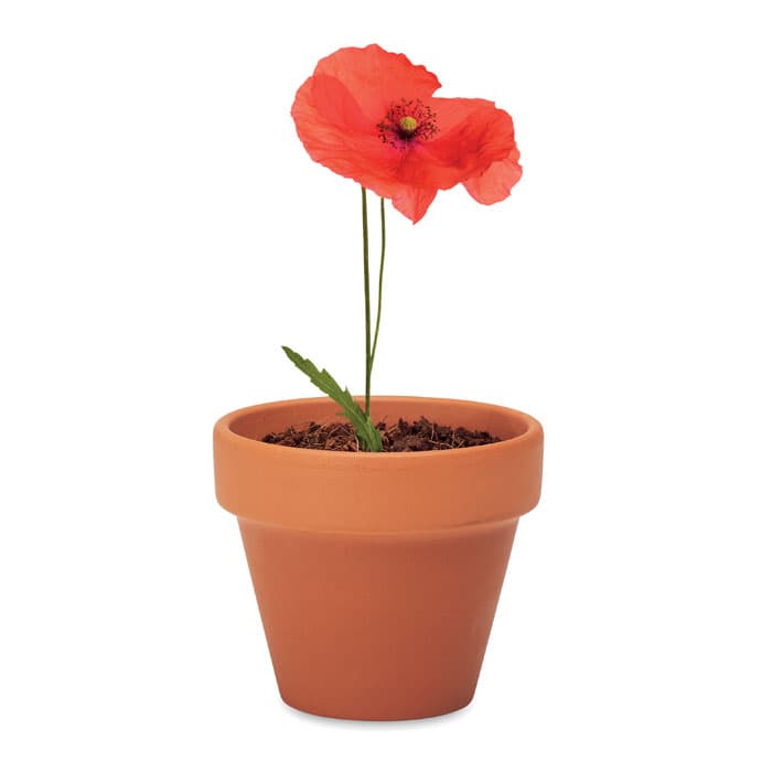 RED POPPY Doniczka, mak