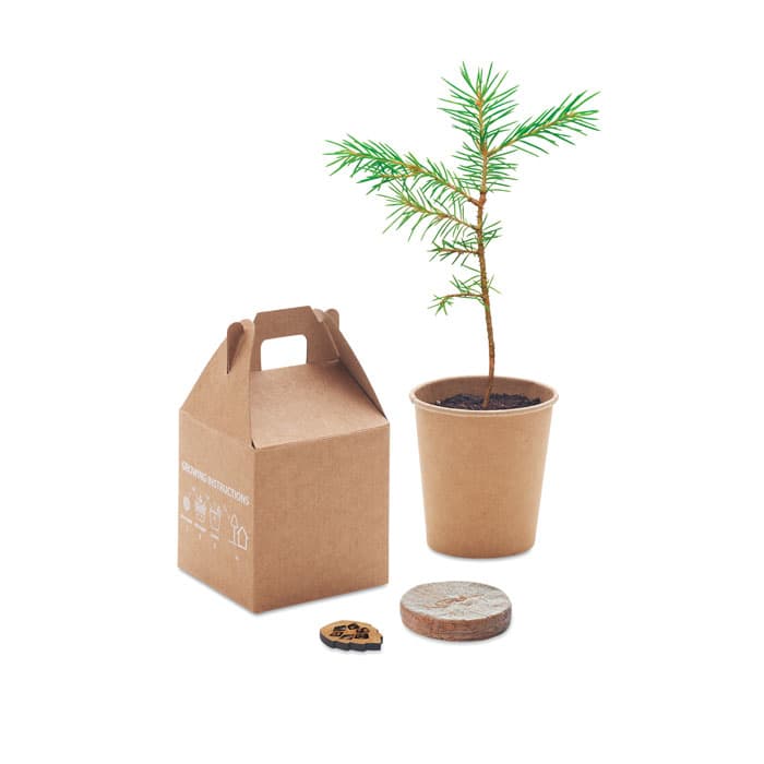 GROWTREE™ Nasiona sosny, torf, doniczka
