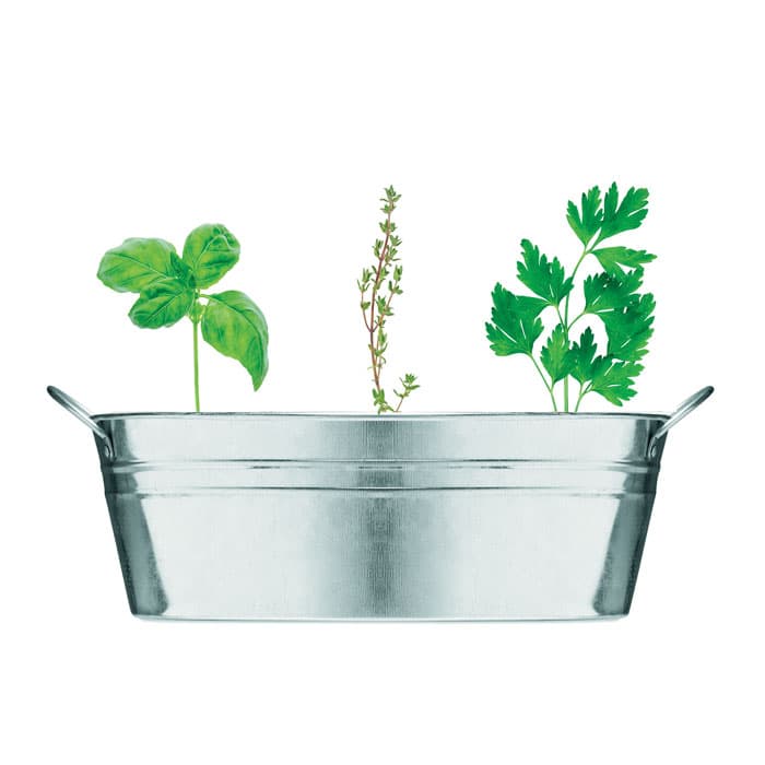 MIX SEEDS Cynkowa wanienka z nasionami