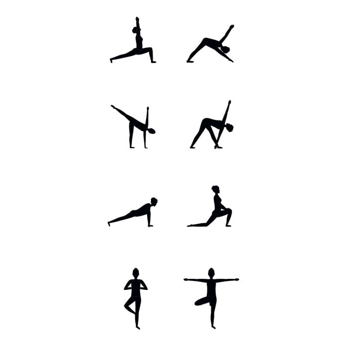 YOGI Mata do jogi