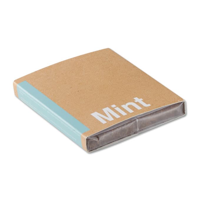 MINT Zestaw do uprawy "Mięta "